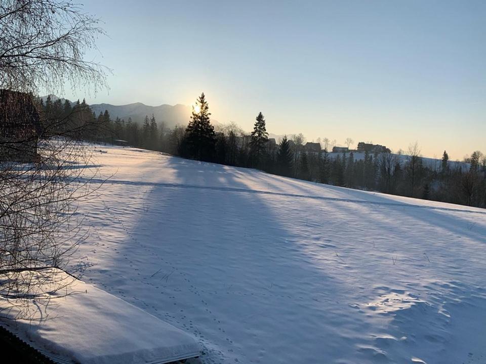 Domek Slebodny Uplaz Zakopane Exteriér fotografie