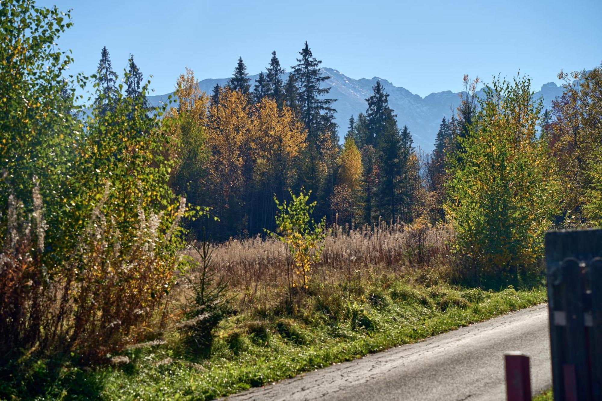 Domek Slebodny Uplaz Zakopane Exteriér fotografie